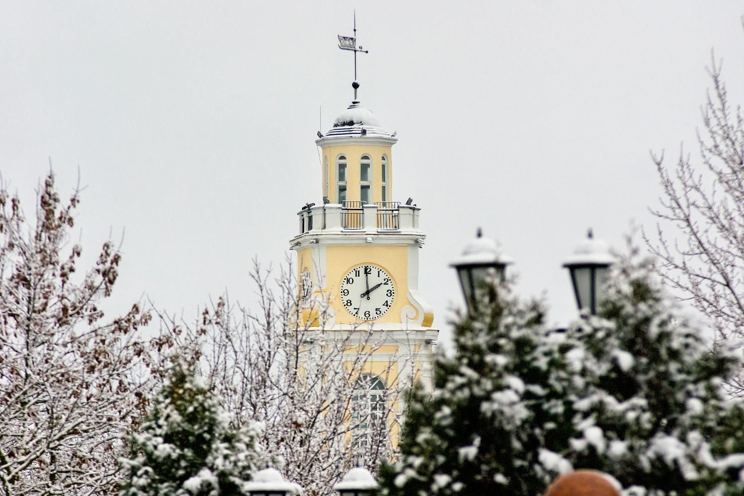 «Город искусств». 14.12.2024